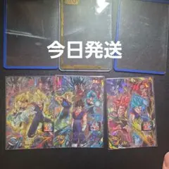 UGM9-SEC2 UGM9-SEC2 UGM8-SEC ベジット おまけ付き