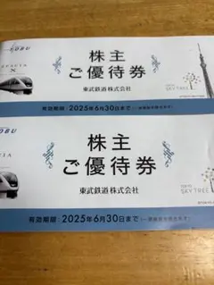 東武鉄道　株主ご優待券　2冊セット一部使用済み