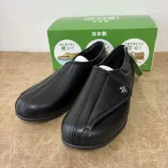 Item thumbnail for item c0e7fe93-49b9-4d77-b839-664a6fcfe958