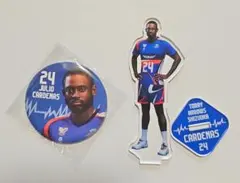 東レアローズ静岡　フリオカルデナス　グッズ