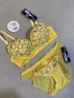 D65M ドゥレリア　花柄刺繍×レース　ブラ＆ショーツセット　イエロー