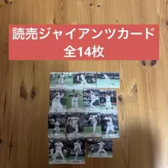 Item thumbnail for item 67a85d66-39b4-447b-8b2d-f978c2631615