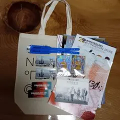 エヴァンゲリオン30周年フェスセット 綾波レイ カードトートバッグ　パンフ