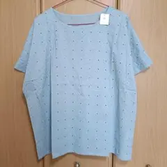 レース　刺繍　Tブラウス　プルオーバー　LLサイズ ゆったり　綿　新品　コットンのサムネイル