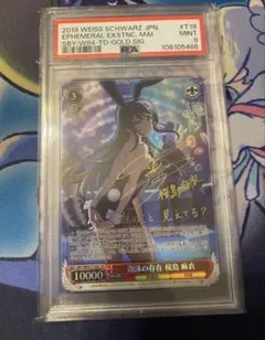 2026年最新】泡沫の存在 桜島の人気アイテム - メルカリ