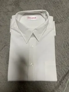 Item thumbnail for item 357b2a8e-42eb-4490-957c-aacdb9bf749d