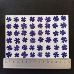 Item thumbnail for item d59fbd6e-3fae-441b-846c-3dfe6cc6640e