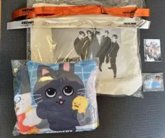 RIIZE 東京ドーム アプグレ プレミアムシート特典 銀テ付き