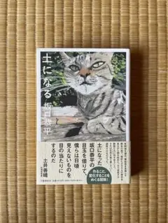 Item thumbnail for item dcde631a-40dd-41d1-b802-b763f1bbae05