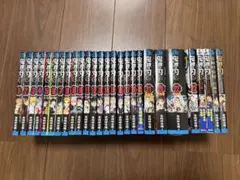 鬼滅の刃　全巻　特装版　同梱版　小説