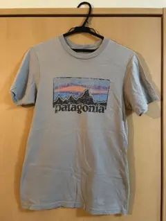 patagonia グレー Tシャツ XS