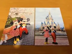 ミッキー ミニー ポストカードセット