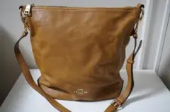 Item thumbnail for item 74e4236d-4ef8-4504-b197-78f24b6acb81