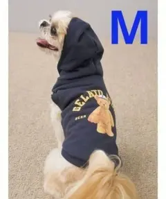 ジェラートピケ「CAT＆DOG」スポーティーベア裏毛プルオーバー　ネイビー（M)