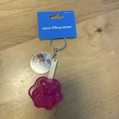 東京ディズニーリゾート 肉球アイスバー キーチェーンのサムネイル