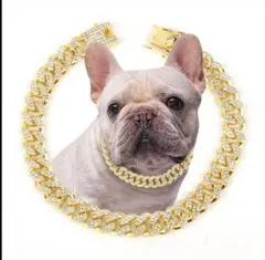 金土日限定‼️ XXLサイズ❤️ ゴールドチェーン 犬 猫 首輪 アクセサリー