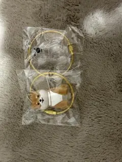 わんこのタイムカプセル