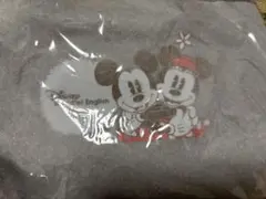【非売品】ミッキーマウス ミニーマウス　ディズニーランチトートバッグ