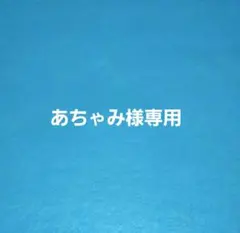 【あちゃみ様専用】野球応援ボード