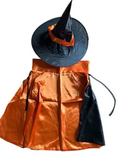 Item thumbnail for item 02b98c75-f79a-463a-baa6-c0077b3e29b6