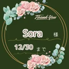 Sora様♡専用ページ