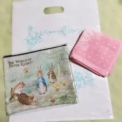 可愛い　レア✭ピーターラビット　ポーチ＆ミニタオル　３点セット
