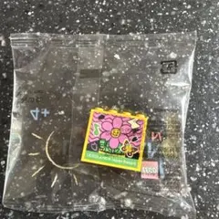 LEGO LEGOLAND 限定