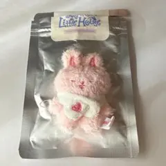 Straykids SKZOO フォクシニー マイクロ アイエン ペンミ いちご