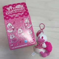 ドナルド　ミニぬいぐるみチャーム　ミニパル　パルパルーザ　ディズニーランド