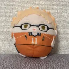 ハイキュー‼︎ 月島蛍 ふわコロりん