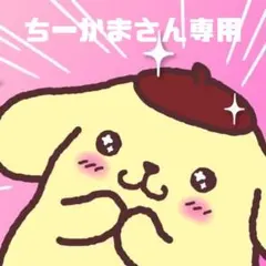 ちーかまさん専用