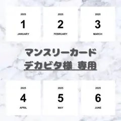【デカビタ様 専用】 ましかく マンスリーカードのサムネイル