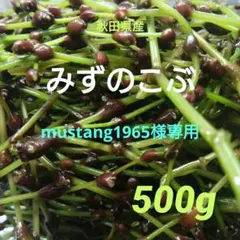 mustang1965 秋田県産 みずのこぶ みずの実 500g mustang1965様専用 秋田県産 みずのこぶ みずの実 500g - メルカリ