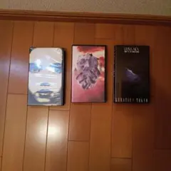 2026年最新】luna sea vhs/の人気アイテム - メルカリ