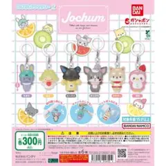 JOCHUM めじるしアクセサリー2 全6種 コンプリート