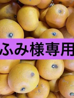 ふみ様専用ページ