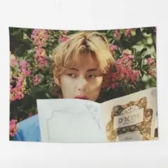 ☆ BTSタペストリー　DICON テヒョン V テテ ☆