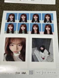 seju 証明写真 向井怜衣のサムネイル