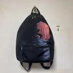 希少　Dior Homme クリスヴァンアッシュ　バックパックのサムネイル