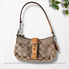 未使用級✨コーチ シグネチャー バッグ アクセサリーポーチ 6362 ソーホー 2025年最新】コーチ 6362の人気アイテム - メルカリ