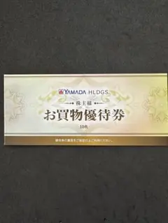 ヤマダ電機 お買物優待券 10枚 5000円分【有効期限2025年6月末日】