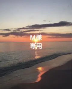 M様専用出品