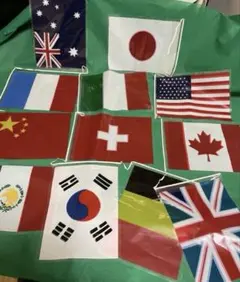 世界各国の国旗 手旗 12種セット 知育玩具のサムネイル