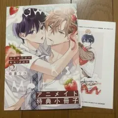 ストロベリーキスメルト2◉アニメイト限定8P小冊子・アニメイト特典カラーペーパー