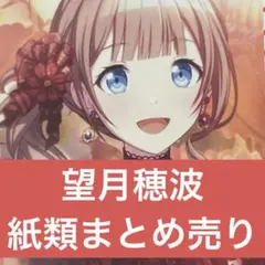 望月穂波まとめ売り