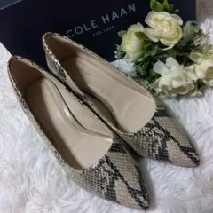 COLEHAAN コールハーン パンプス パイソン柄 23.5