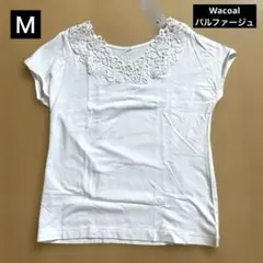[Wacoal] 新品・パルファージュ・ ・フレンチスリーブTシャツ ・Mのサムネイル