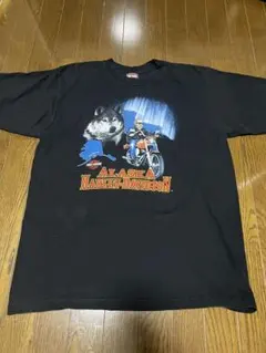 S*T様 希少　Harley-Davidson アラスカ フェード　Tシャツ ブのサムネイル