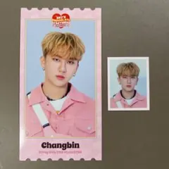 straykids スキズ ペンミ グッズ チャンビン