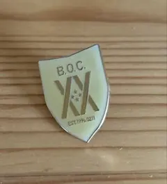 BUMP OF CHICKEN バンプ ピンバッジ